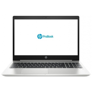 Ноутбук HP ProBook 450 G7 (9HP68EA)