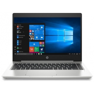 Ноутбук HP ProBook 445 G7 (175W4EA), серебристый