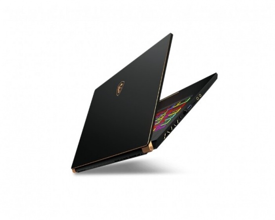 Ноутбук MSI GS75 Stealth 10SFS-464RU (9S7-17G321-464), черный фото 5