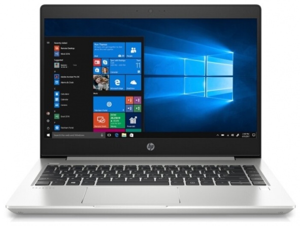 Ноутбук HP ProBook 445 G7 (1F3K6EA) (1F3K6EA), Pike Silver фото 1