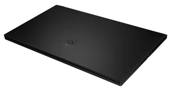 Ноутбук MSI GS66 Stealth 10SFS-405RU (9S7-16V112-405), черный фото 3