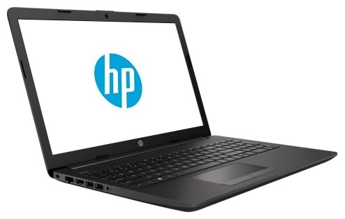 Ноутбук HP 255 G7 (197M6EA), пепельно-серебристый/темный фото 2