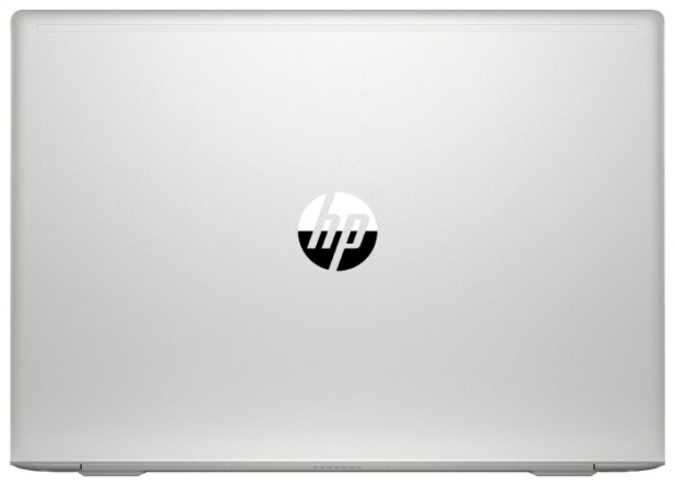 Ноутбук HP ProBook 450 G7 (1F3M3EA), серебристый фото 7