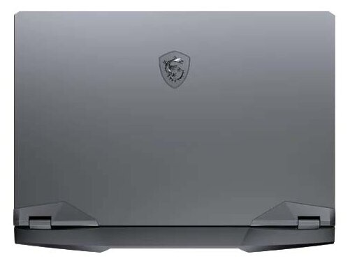 Ноутбук MSI GE66 Raider 10SFS-255RU (9S7-154114-255), серый фото 11
