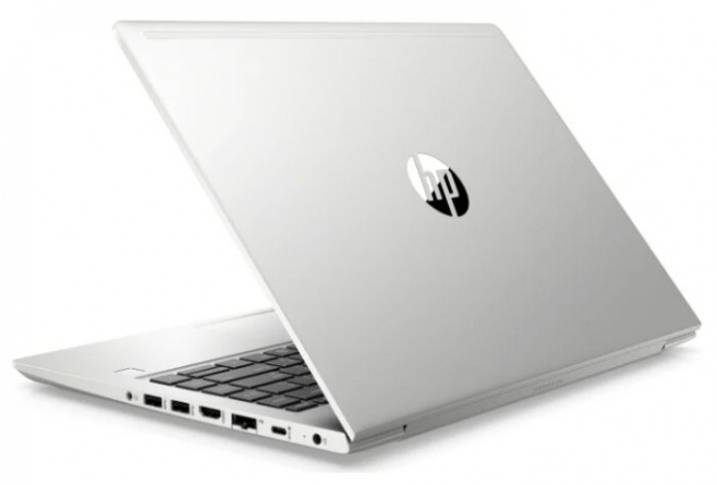 Ноутбук HP ProBook 445 G7 (1F3L1EA), серебристый фото 4
