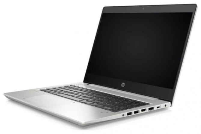 Ноутбук HP ProBook 445 G7 (1F3L0EA), серебристый фото 2