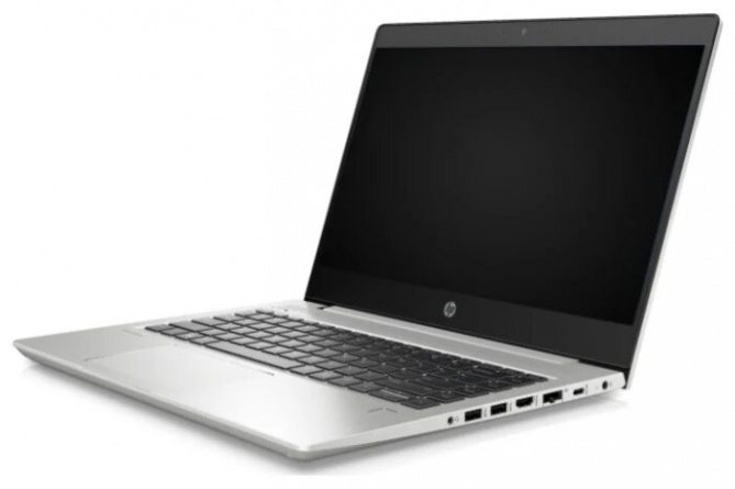Ноутбук HP ProBook 445 G7 (1F3K9EA) фото 2