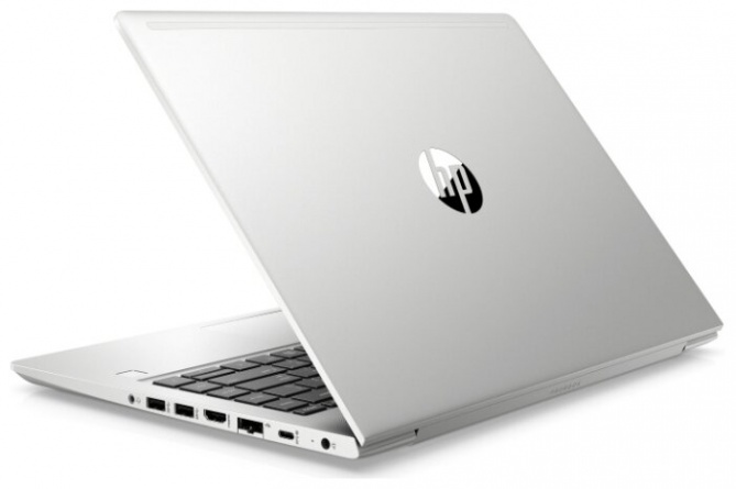 Ноутбук HP ProBook 445 G7 (1F3K8EA), серебристый фото 3