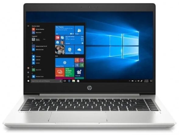 Ноутбук HP ProBook 445 G7 (1F3L1EA), серебристый фото 1