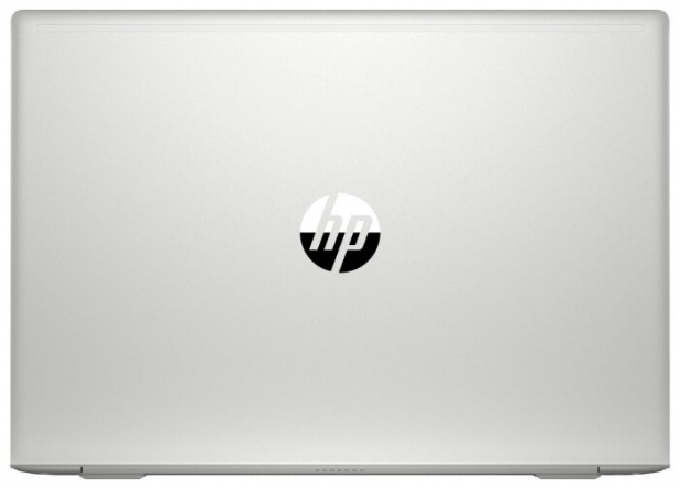 Ноутбук HP ProBook 450 G7 (8MH13EA), серебристый фото 7