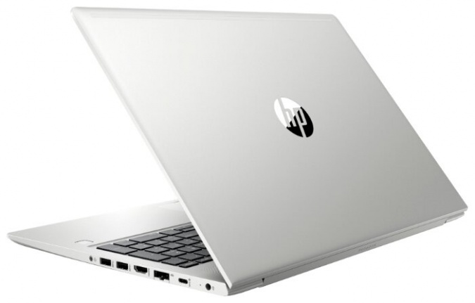 Ноутбук HP ProBook 450 G7 (8MH13EA), серебристый фото 6