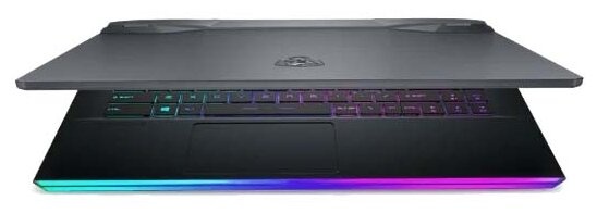 Ноутбук MSI GE66 Raider 10UG-418RU (9S7-154214-418), серый фото 5