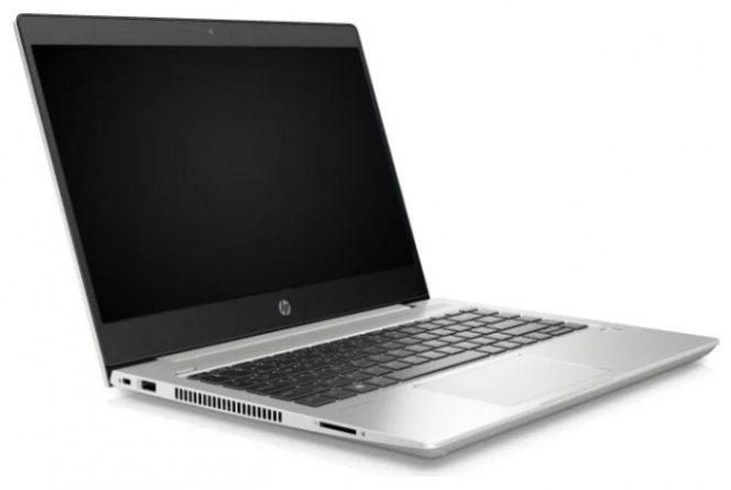 Ноутбук HP ProBook 445 G7 (1F3L0EA), серебристый фото 3
