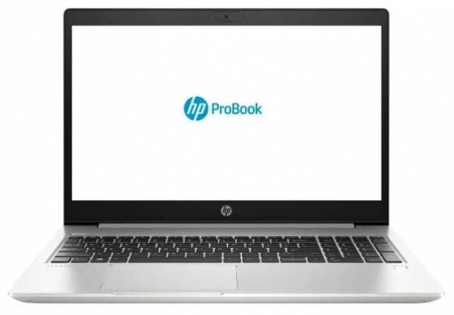 Ноутбук HP ProBook 450 G7 (213T7ES), серебристый фото 1